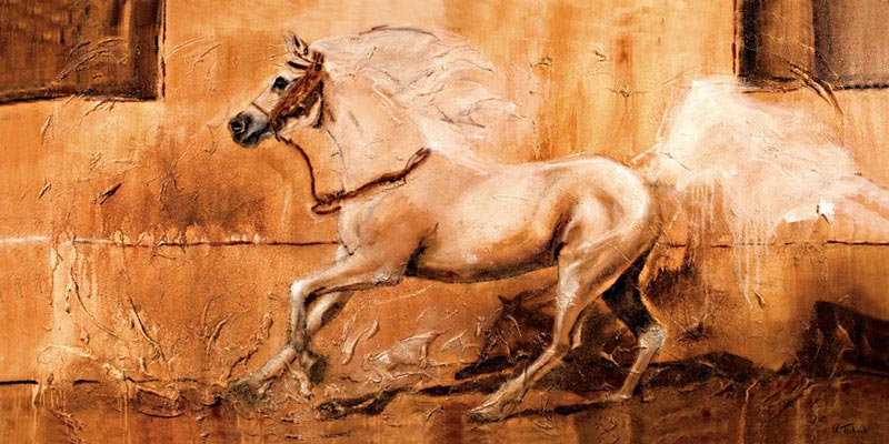 Araber Pferdebild