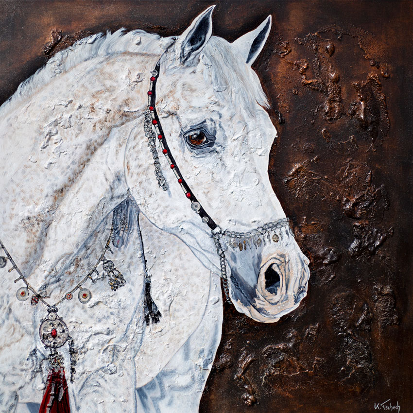 Arabian Horseportrait, Kerstin Tschech